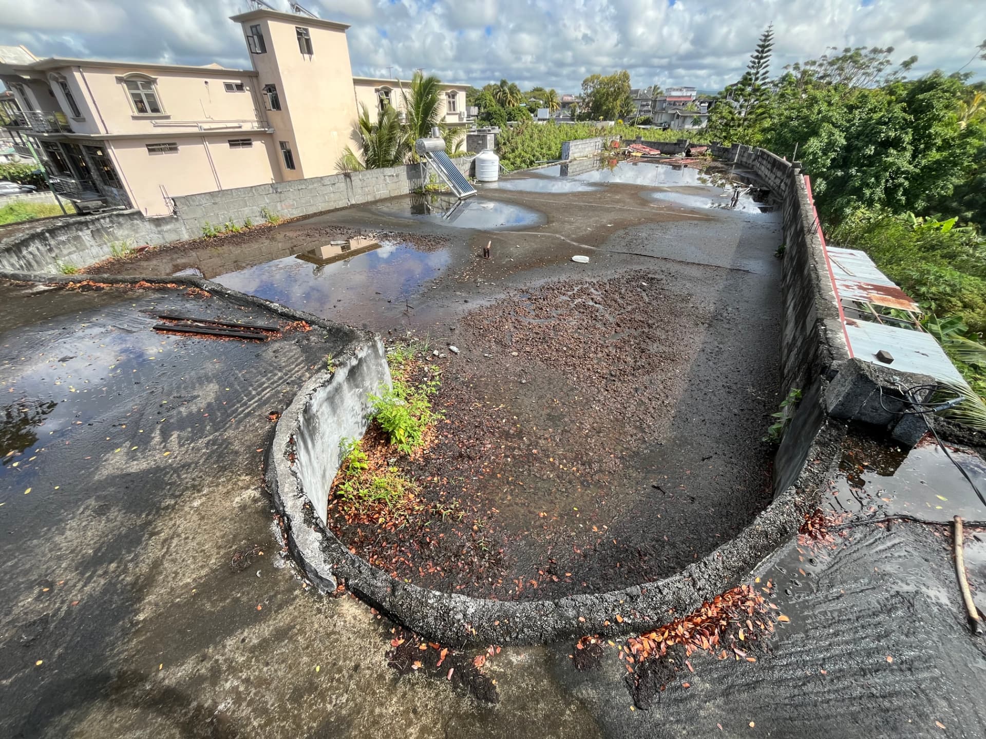 Toiture-terrasse avec eau stagnante, débris et végétation