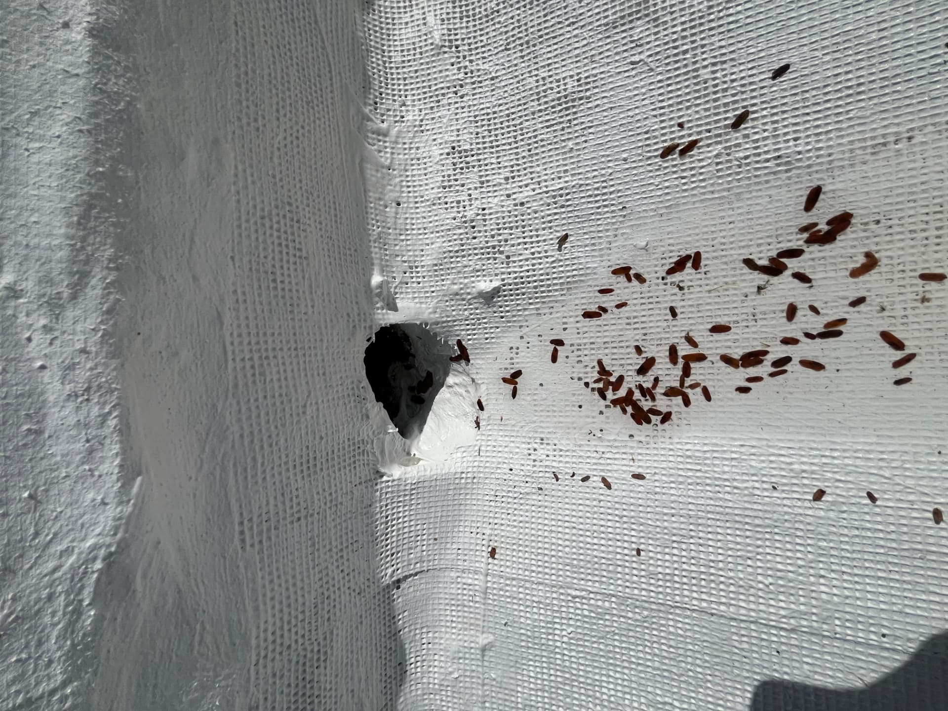 Détail d'une trame de renfort noyée dans la membrane blanche