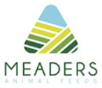 Logo Meaders